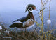 Duck Waters Edge Wall Decal