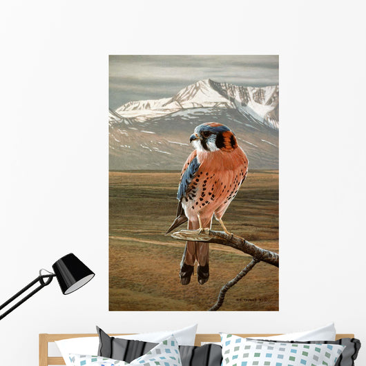 American Kestrel Wall Decal