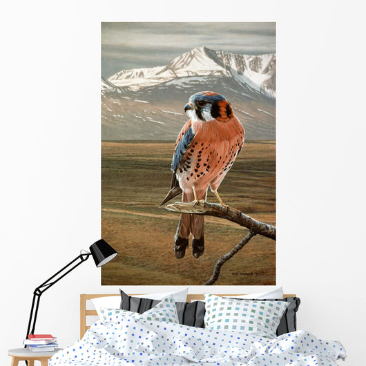 American Kestrel Wall Decal