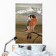 American Kestrel Wall Decal