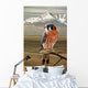 American Kestrel Wall Decal