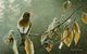 Frosty Alder Wall Decal