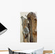 Gila Woodpecker Wall Decal