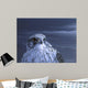 Gyr Falcon Portrait Wall Decal