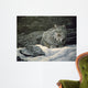 Resting Spot Wall Decal