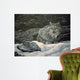 Resting Spot Wall Decal