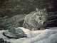 Resting Spot Wall Decal