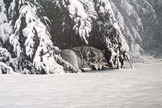 Waiting out Storm Wall Decal