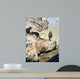Driftwood Wall Decal Design 2