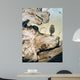 Driftwood Wall Decal Design 2
