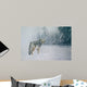 Coyote Snow Wall Decal