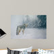 Coyote Snow Wall Decal
