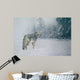 Coyote Snow Wall Decal