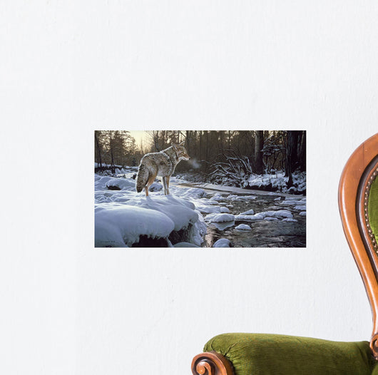 Winter Creek Coyote Wall Decal