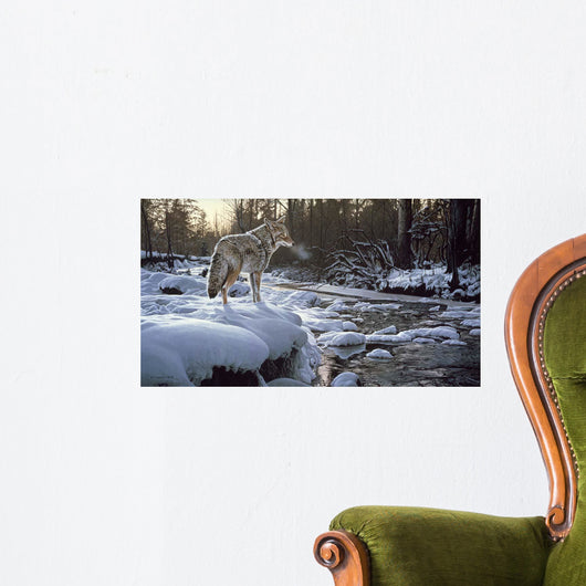 Winter Creek Coyote Wall Decal