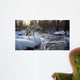 Winter Creek Coyote Wall Decal