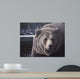 Falls Wall Decal