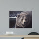 Falls Wall Decal