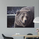 Falls Wall Decal