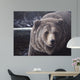 Falls Wall Decal