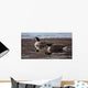 Break Ice- Canada Geese Wall Decal