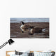 Break Ice- Canada Geese Wall Decal