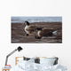 Break Ice- Canada Geese Wall Decal