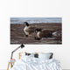Break Ice- Canada Geese Wall Decal