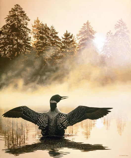Misty Dawn Loon Wall Decal