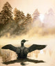 Misty Dawn Loon Wall Decal