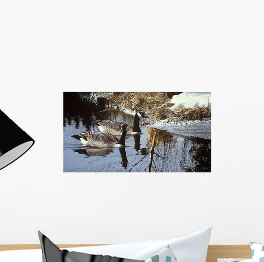 Spring Arrivals- Canada Geese Wall Decal