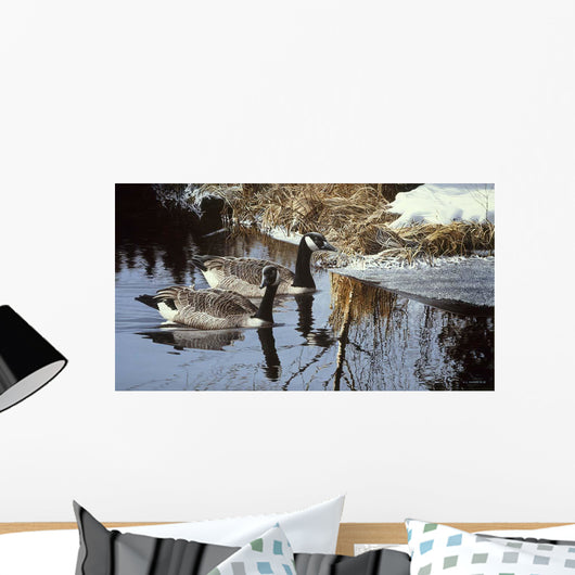 Spring Arrivals- Canada Geese Wall Decal