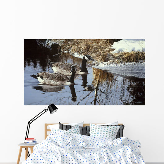Spring Arrivals- Canada Geese Wall Decal