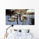 Spring Arrivals- Canada Geese Wall Decal