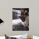 Fishing Hole Wall Decal