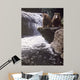 Fishing Hole Wall Decal