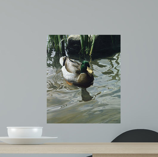 Reflections Wall Decal Design 3