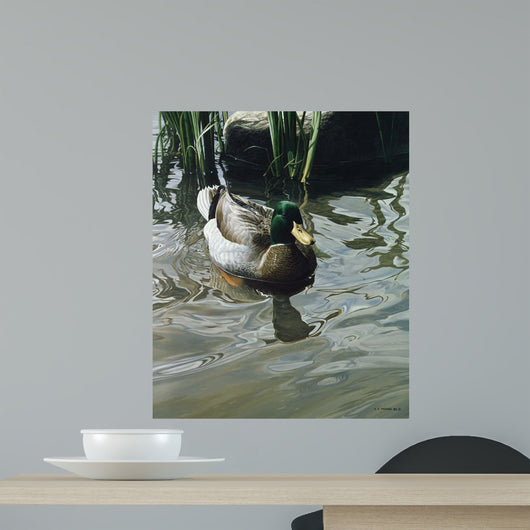 Reflections Wall Decal Design 3