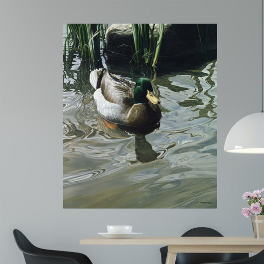 Reflections Wall Decal Design 3