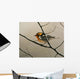 Nashville Warbler Wall Decal