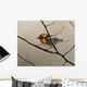 Nashville Warbler Wall Decal