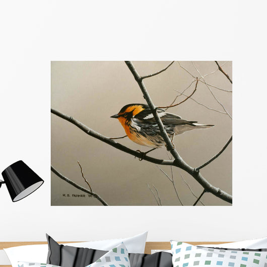 Nashville Warbler Wall Decal