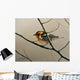 Nashville Warbler Wall Decal