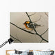 Nashville Warbler Wall Decal