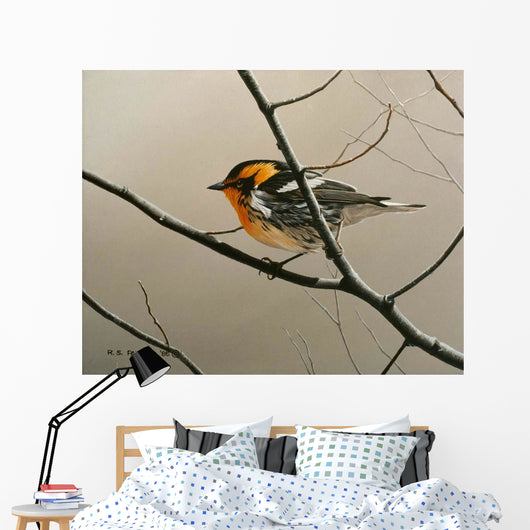 Nashville Warbler Wall Decal