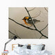 Nashville Warbler Wall Decal