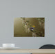 Black Throated Green Warbler Wall Decal