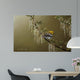Black Throated Green Warbler Wall Decal