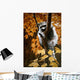 Up Tree Wall Decal