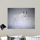 Arctic Winds Wall Decal